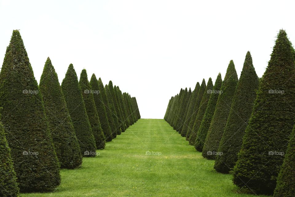 Symmetrical balance in french garden