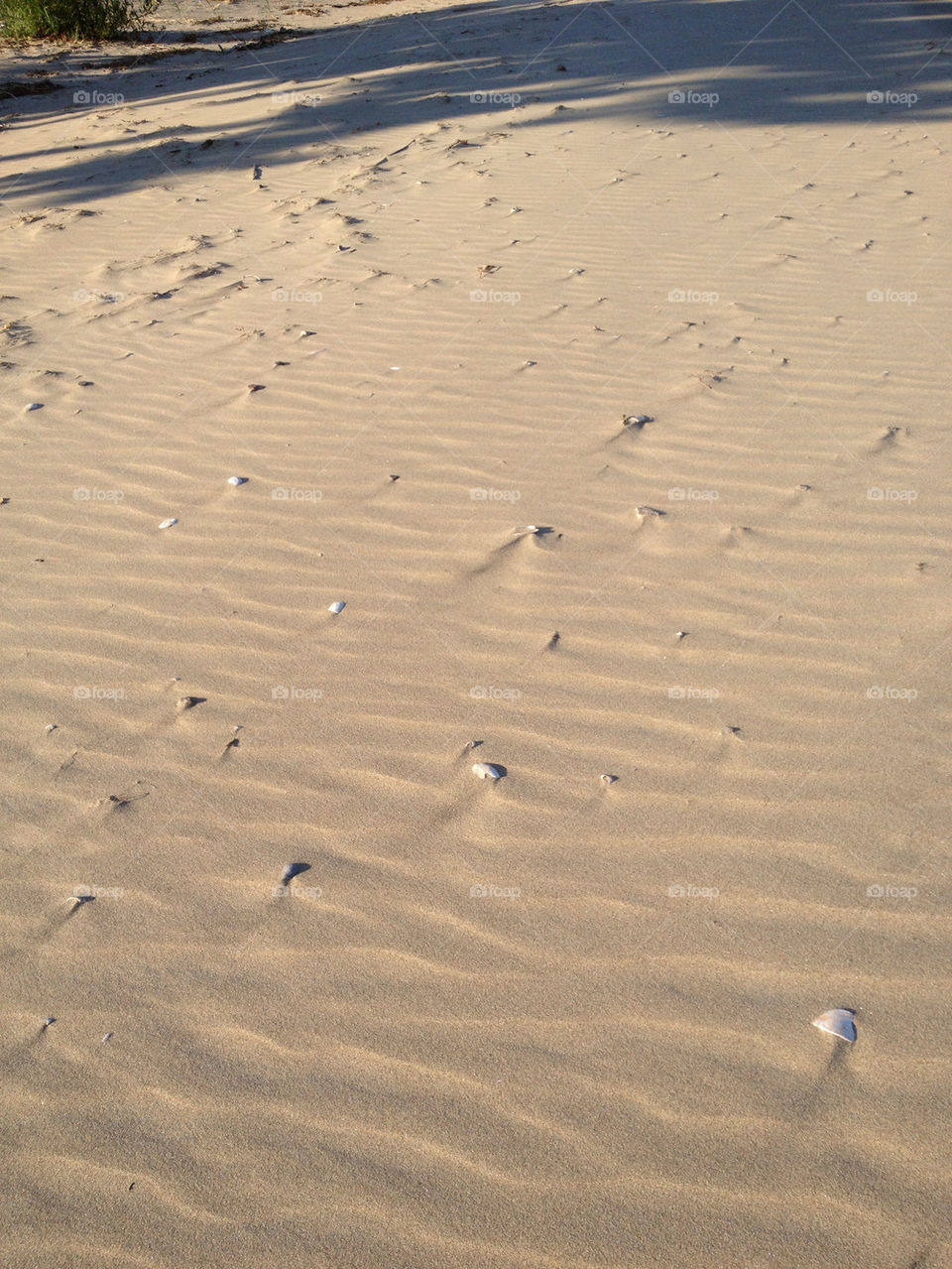 beach summer sand ripples by jshadle