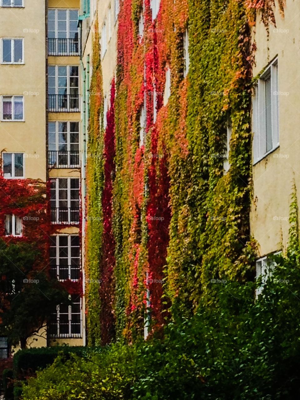 Autumn is standing by the door