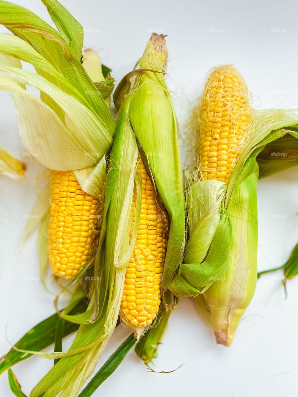 Yellow corncob on the white table 