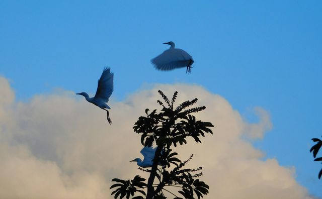 Take off