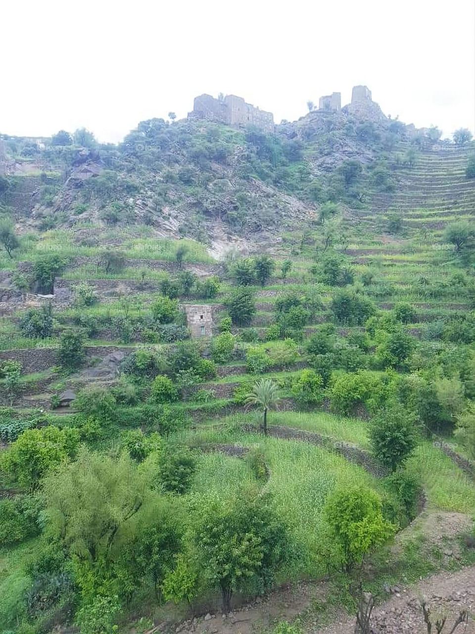 Glory be to God, the magnificent and picturesque view and the natural green trees are a view that is nothing more wonderful than it