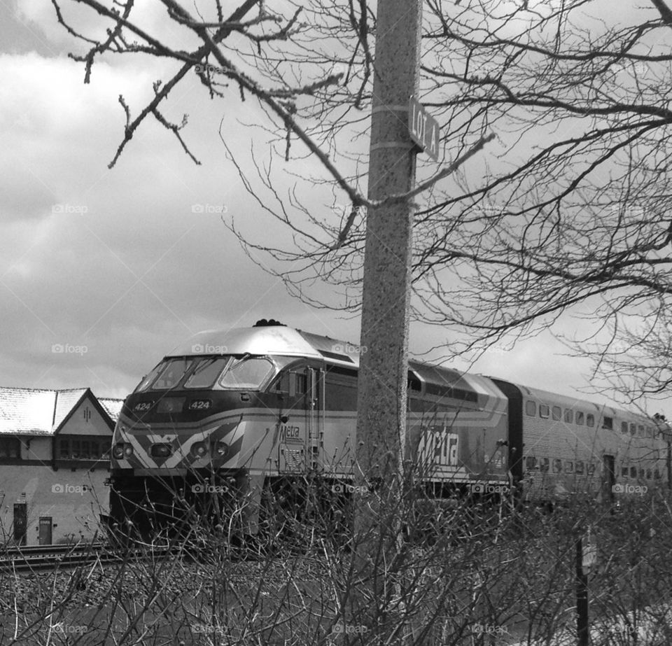Black White Metra