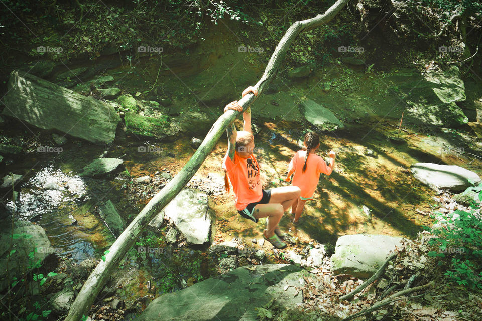 Water, No Person, Nature, Wood, Underwater