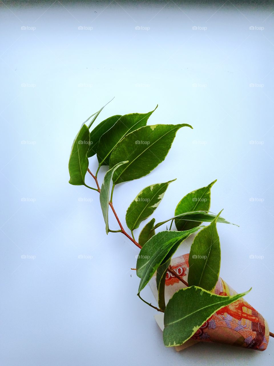 банк.деньги.росток.