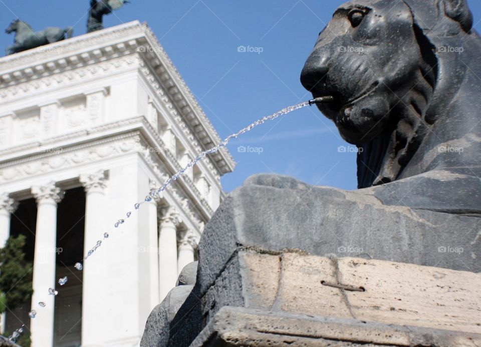 Lion statue