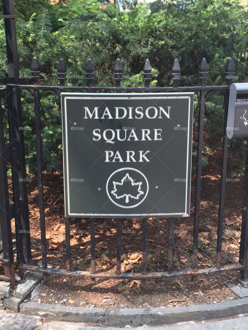 Madison square park