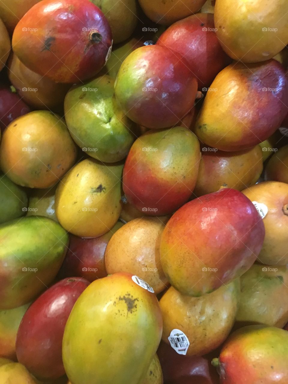 Mangoes fresh bunch fruit sweet tons