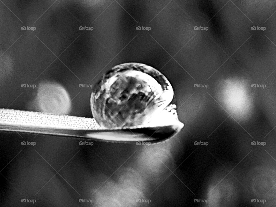 Raindrop on leaf