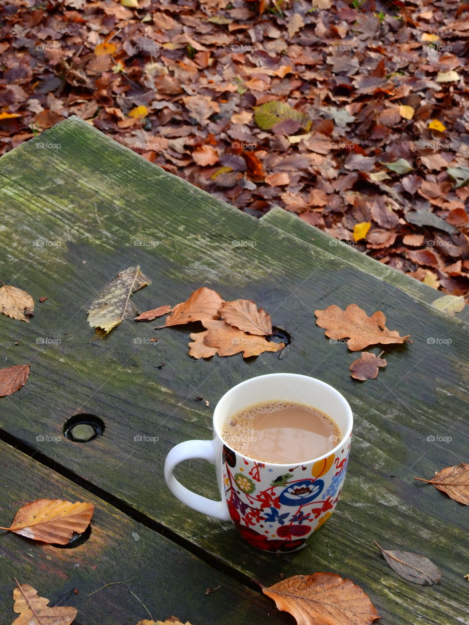 Coffe in nature