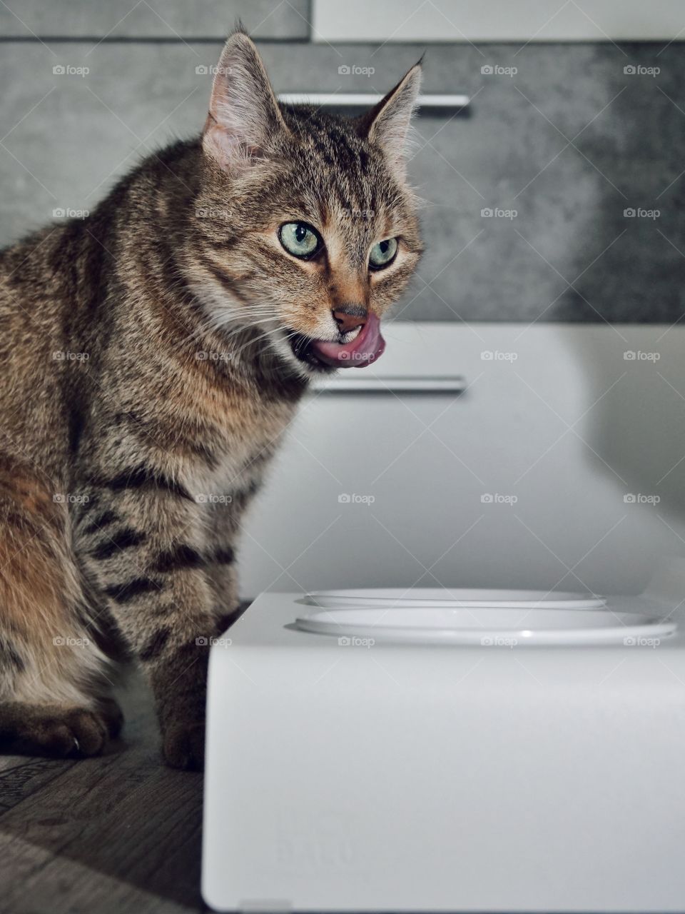 LucyBalu Duo Dining Station