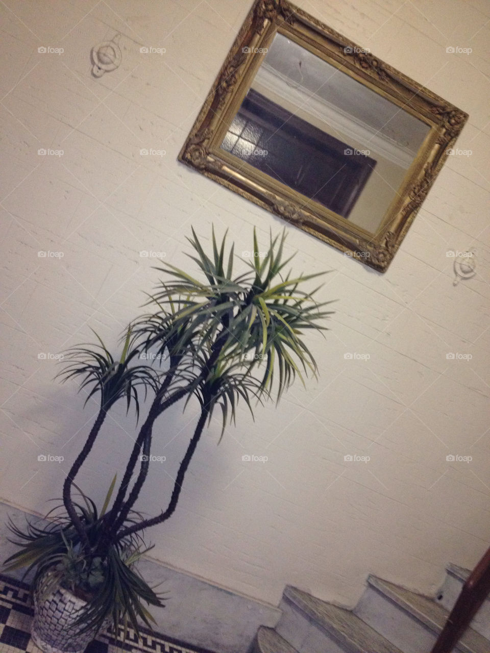 green plants steps mirror by michaella