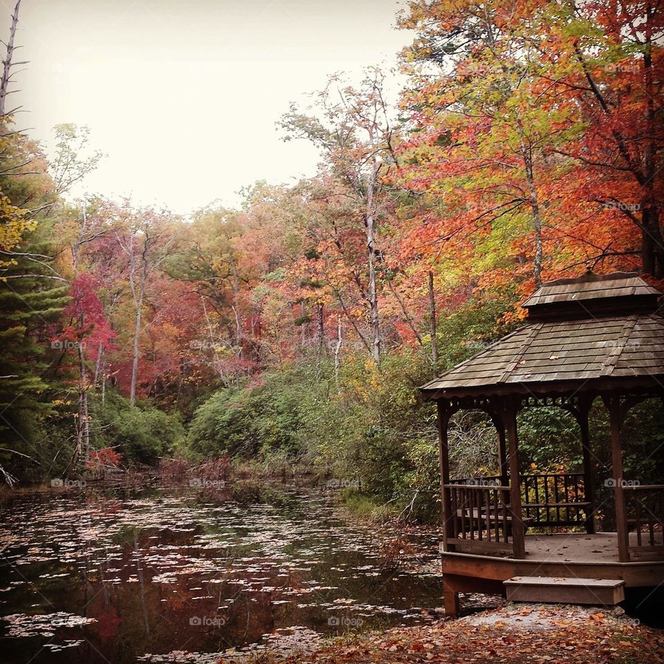 Peaceful Autumn Mountain Landscape