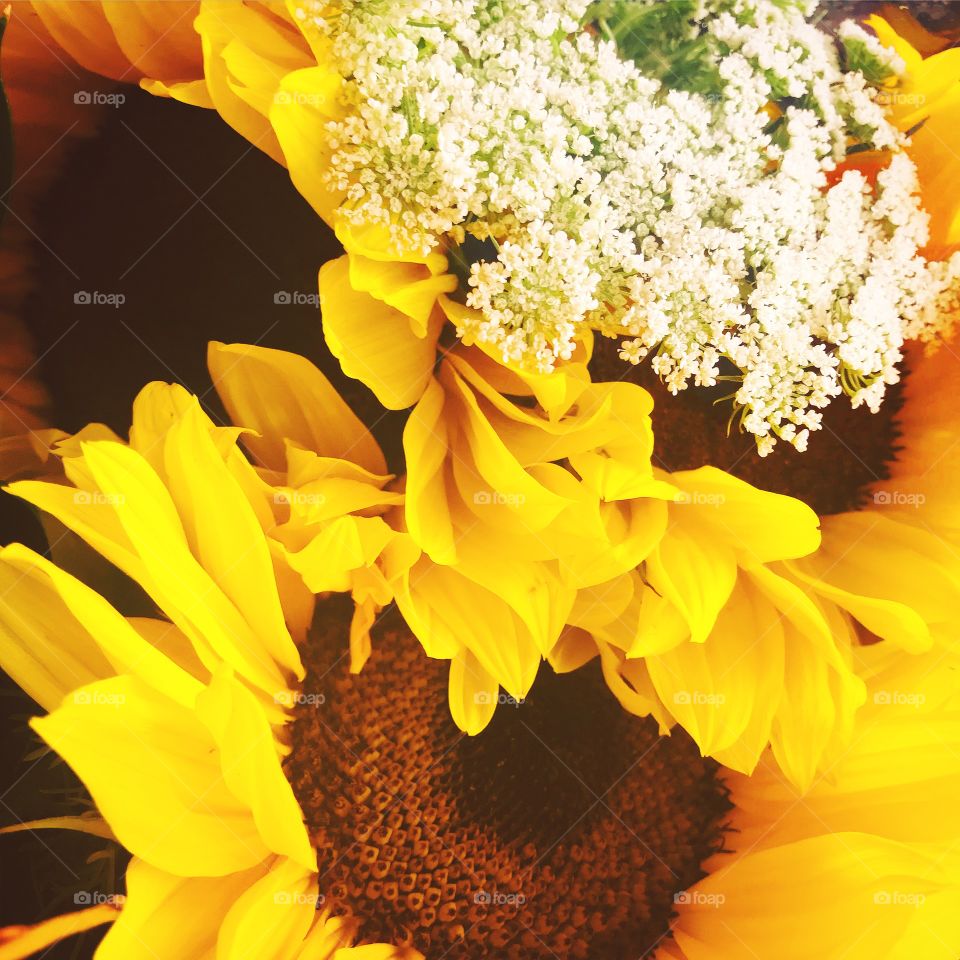 Sunflower love 