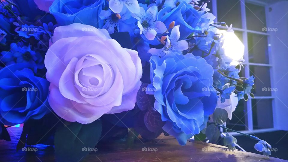 party blue flowers