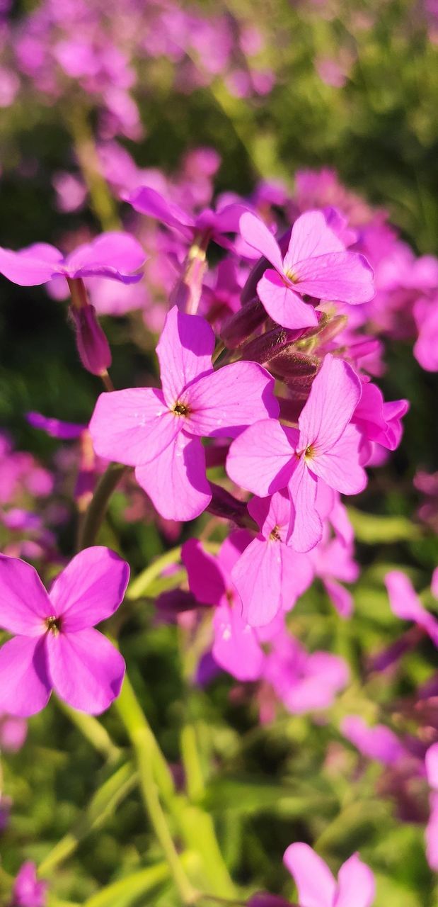 editors Choice photo