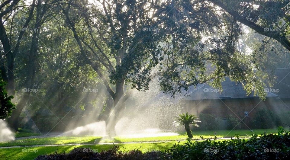  sprinklers in morning sunlight