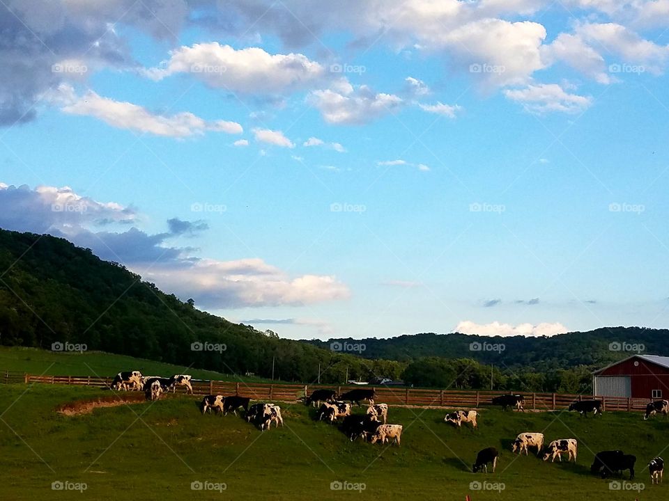 Driving the Back Roads and enjoying everything around us