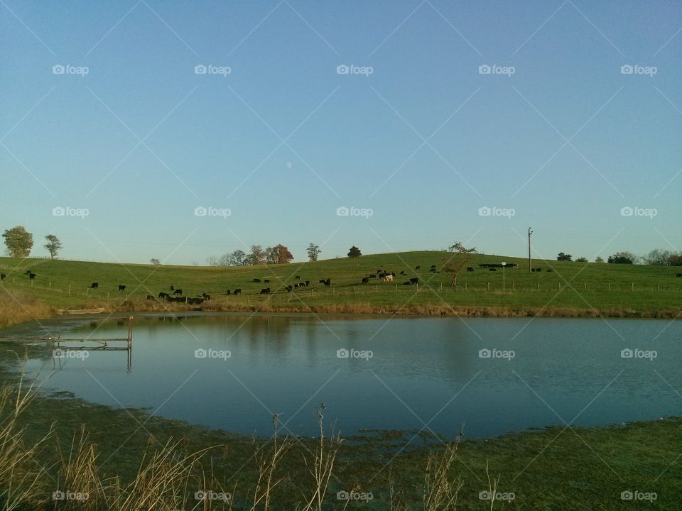 Crystal Ponds and Skies
