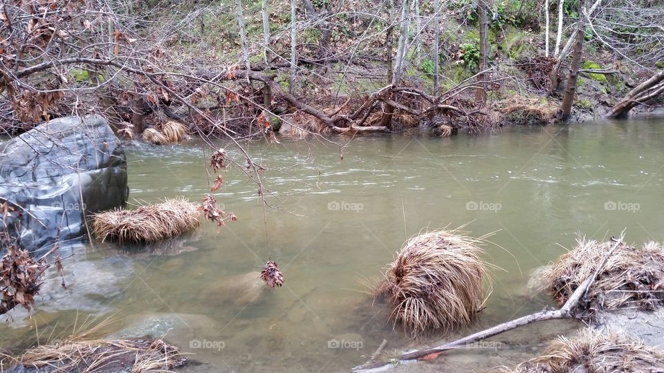 Stream after a heavy rain