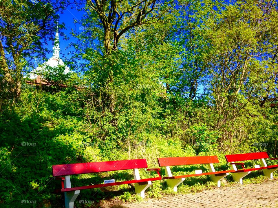 Red benches. Red benches in the sun