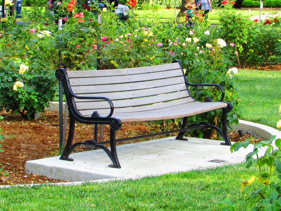 park bench