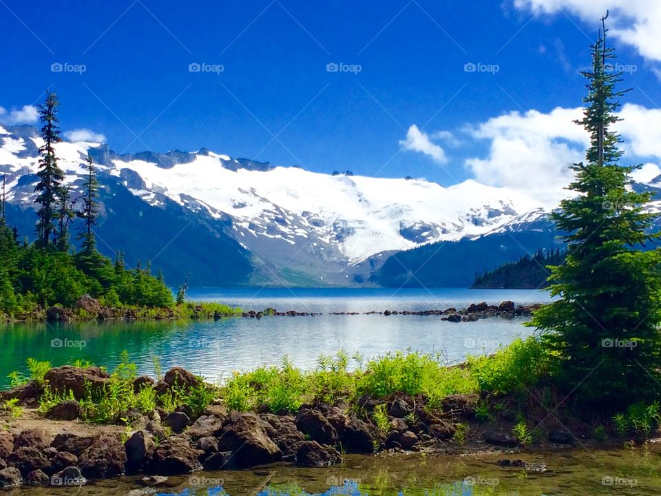 Garibaldi Lake between the trees