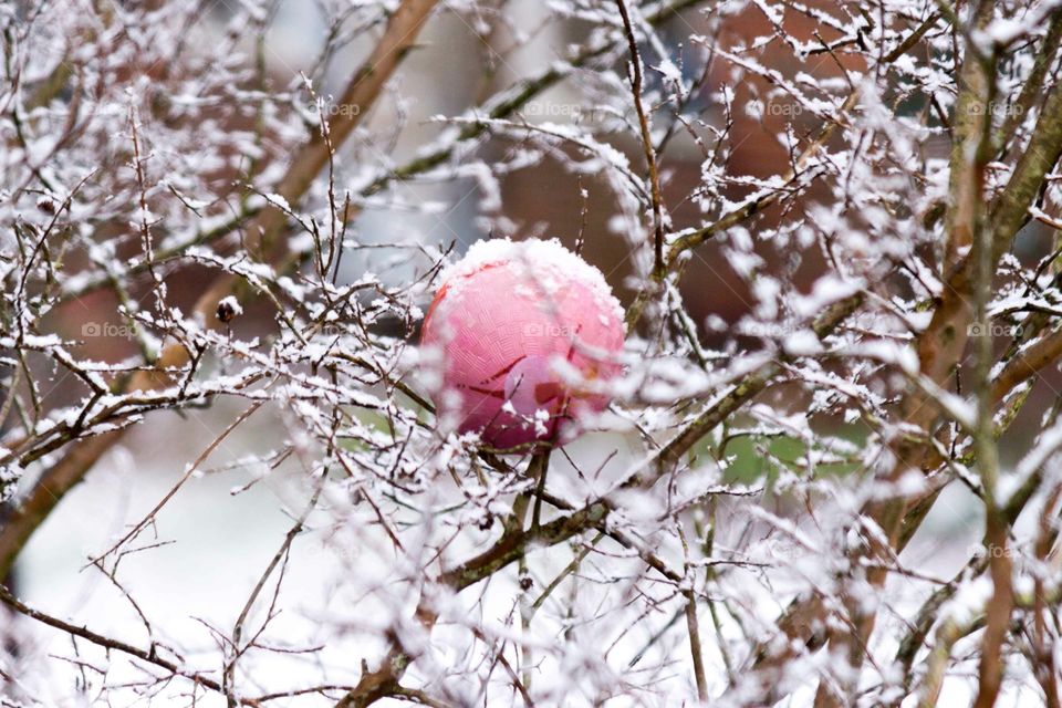 Ball on a tree