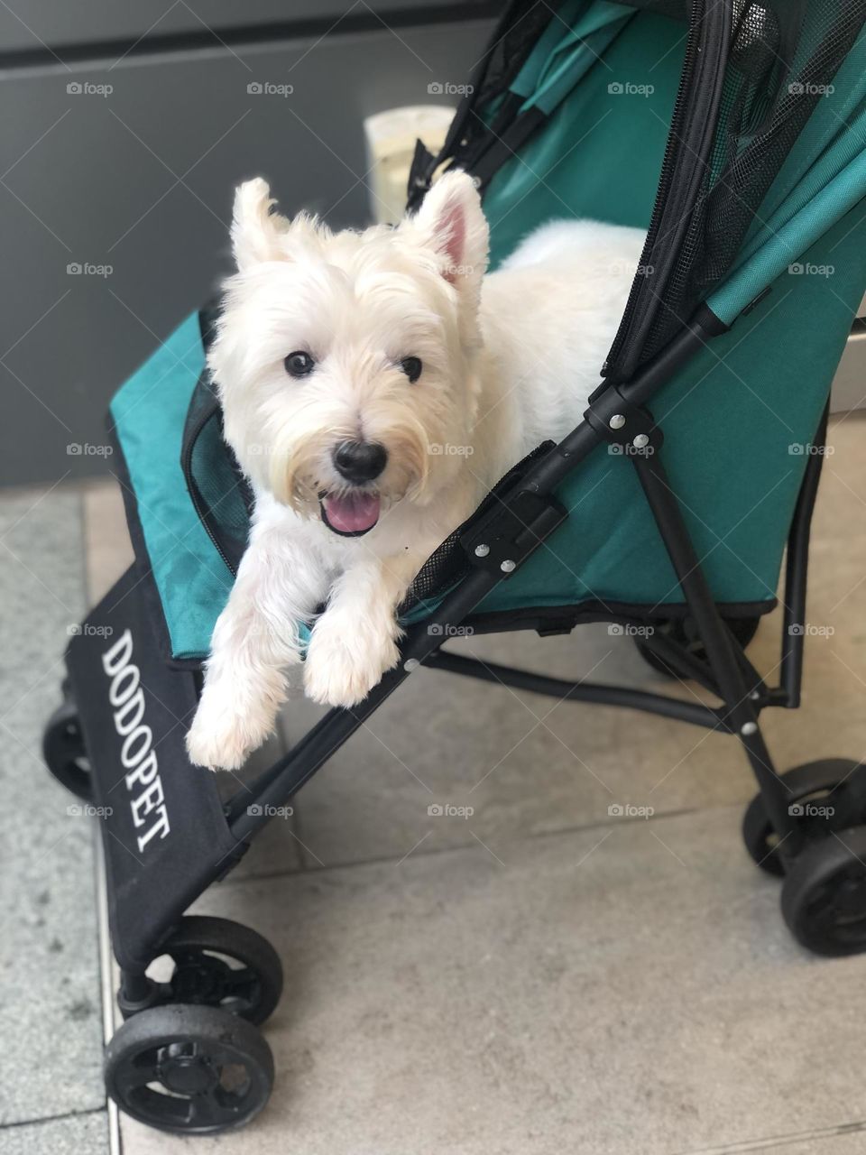 My dear lovely Barbie 