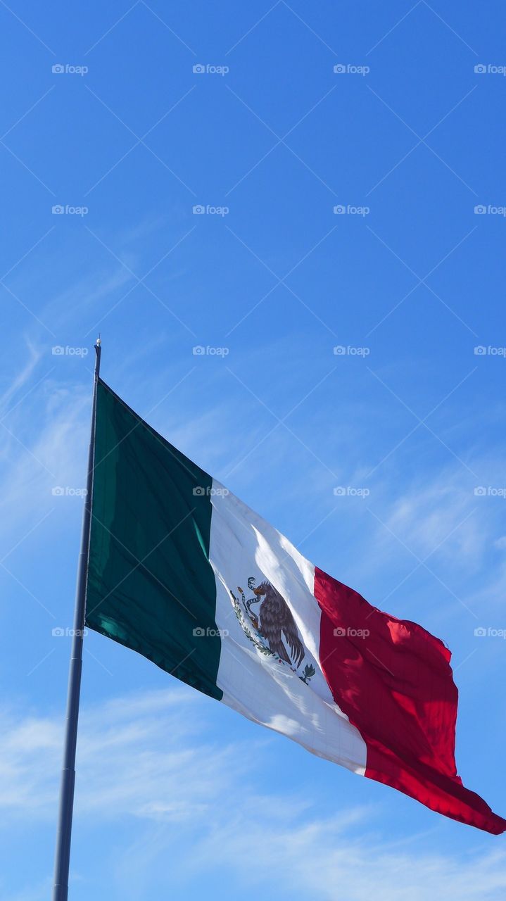 Mexico flag, waving