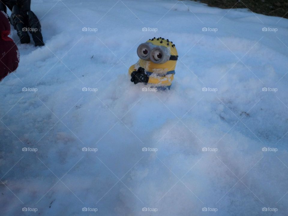 miñon en nieve jugando