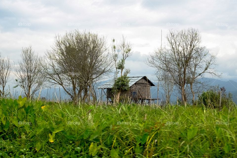 A house on the lake