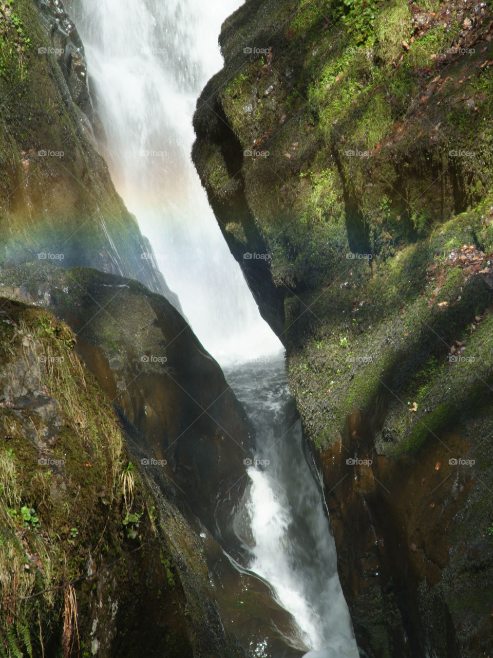 Aira Force, Lake District 