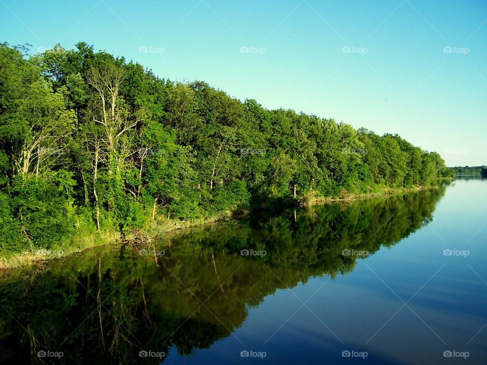 Reflection of forest in river