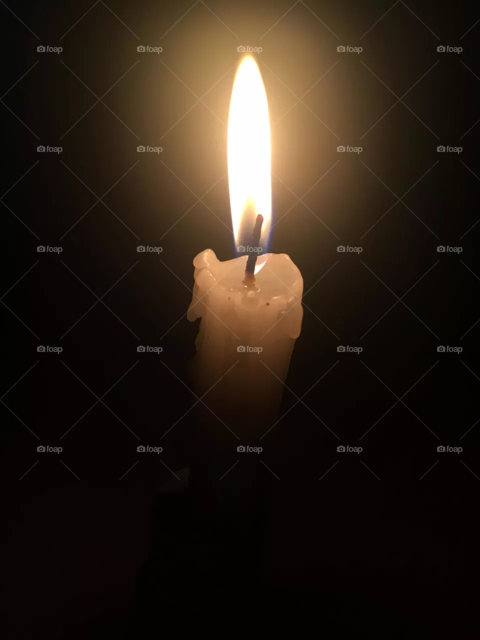 Thousands of candles can be lit from a single candle, Happiness never decreases by being shared.