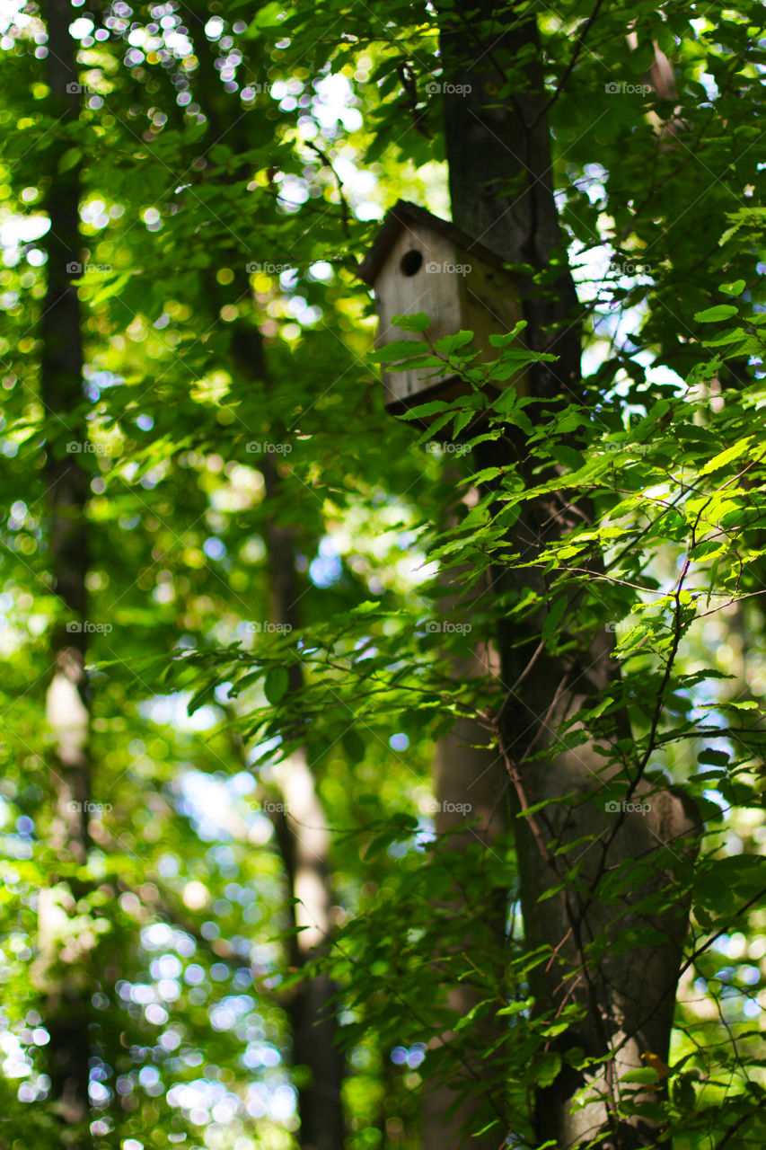 A birdhouse 