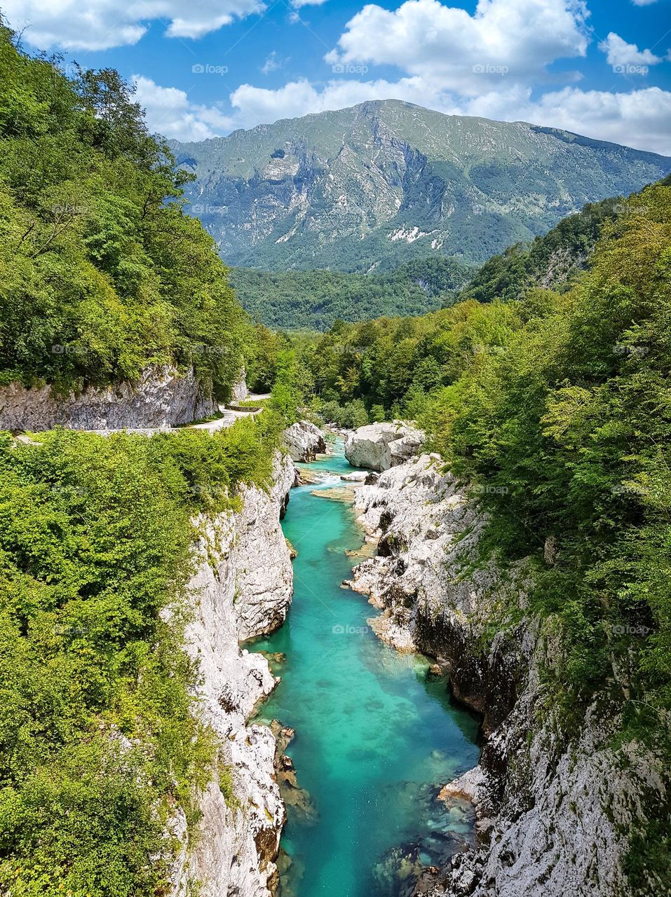 Emerald Soča river in Slovenia flowing through canyon surrounded by lush green forest.