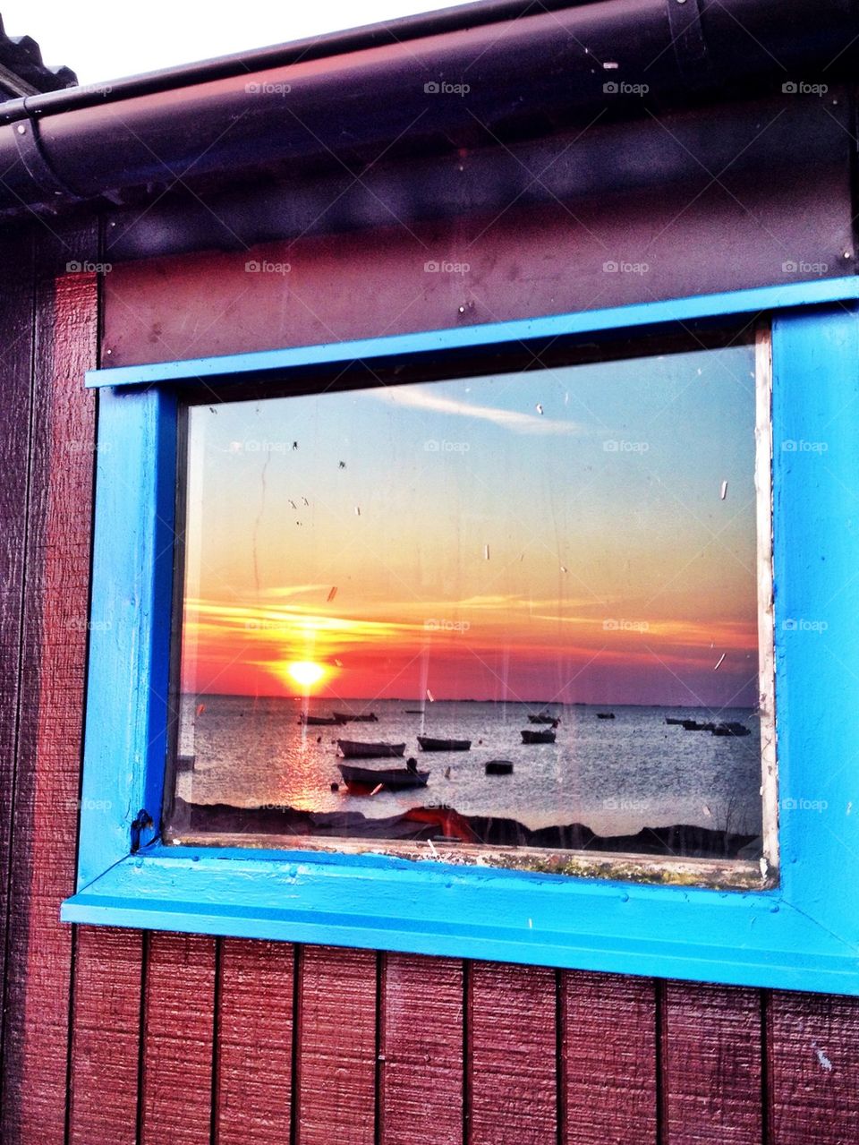 Nature reflected on glass window