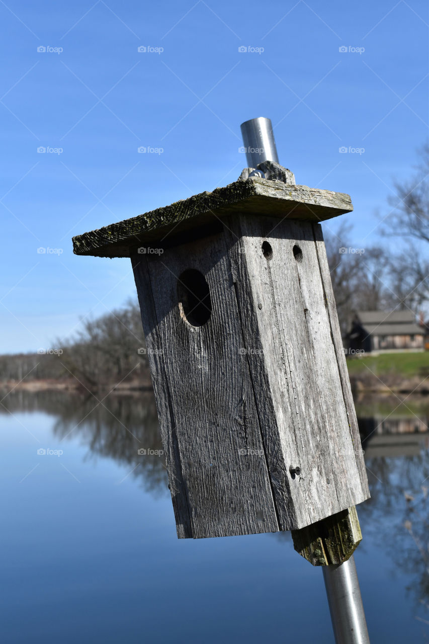 Bird House