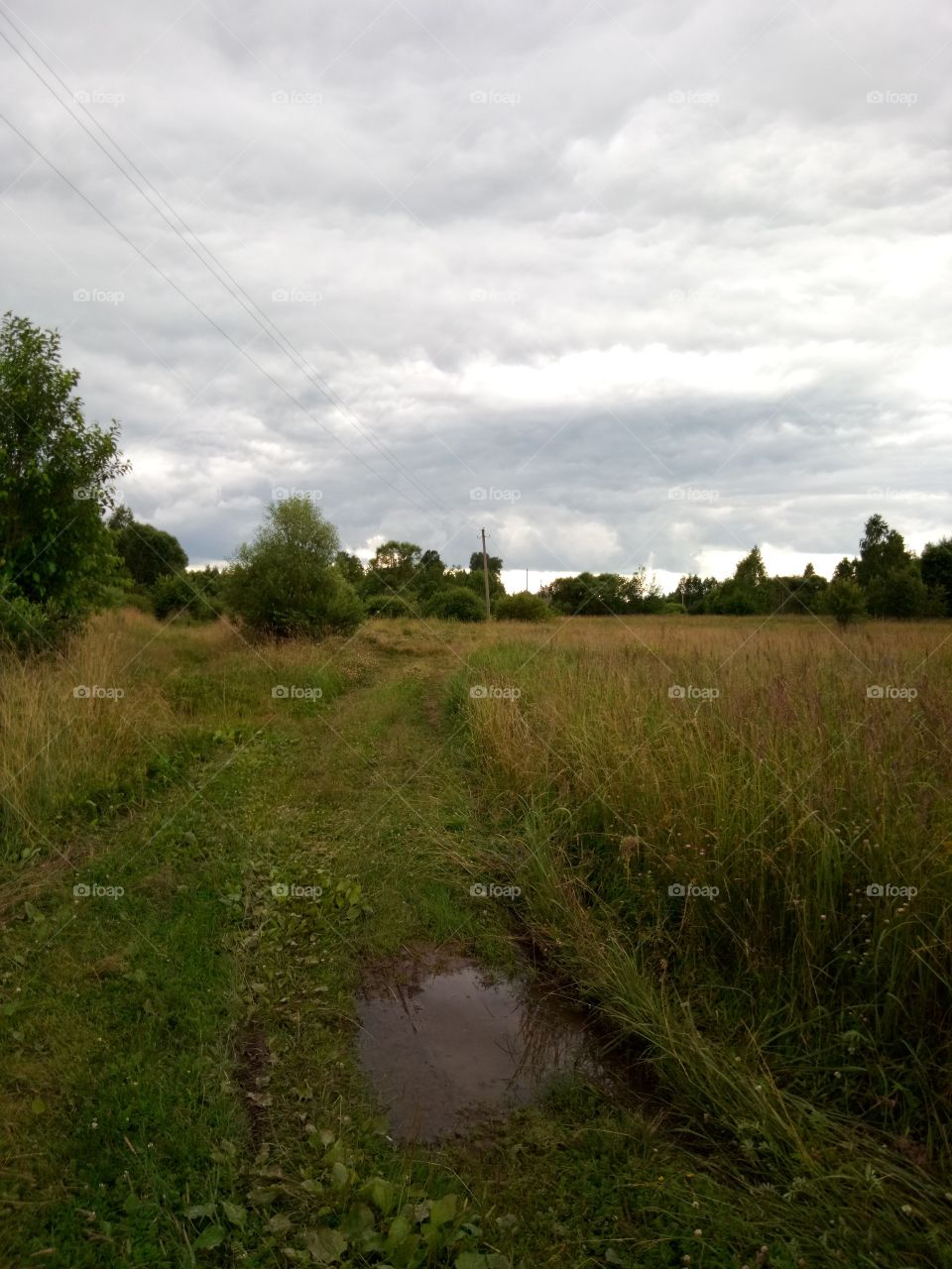 природа России