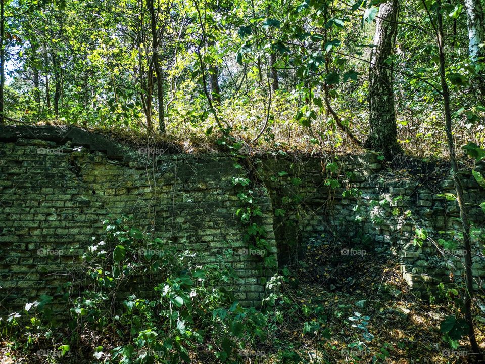 Alte Mauer im Borghorster Bunkerwald