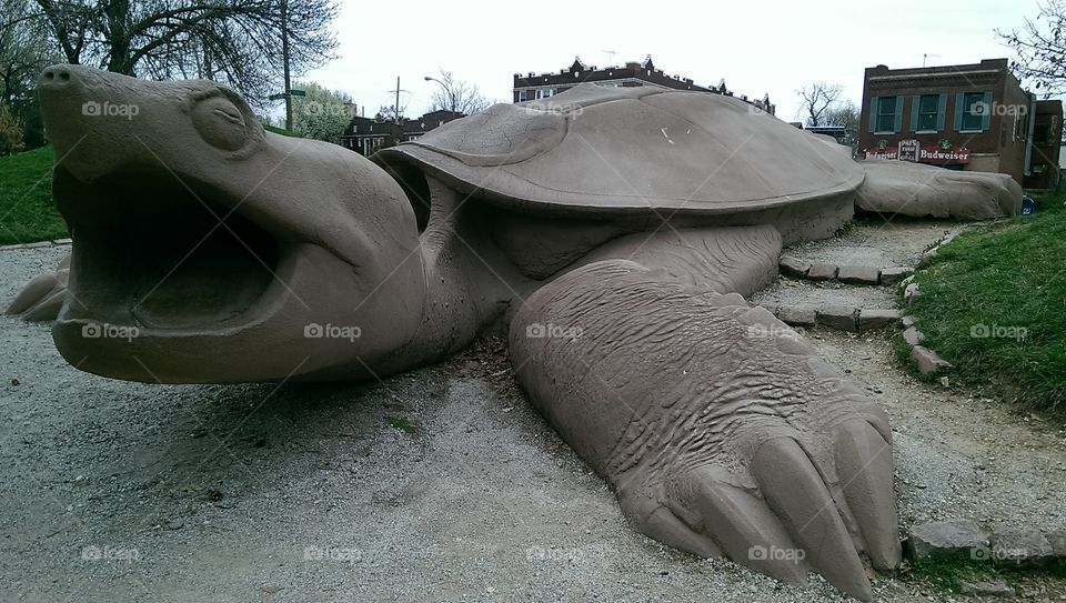 Turtle Park. Visited sculpture park near St. Louis Zoo