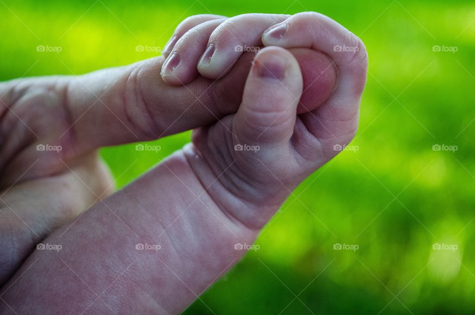 Close-up of baby's hand holding grandparent's finger