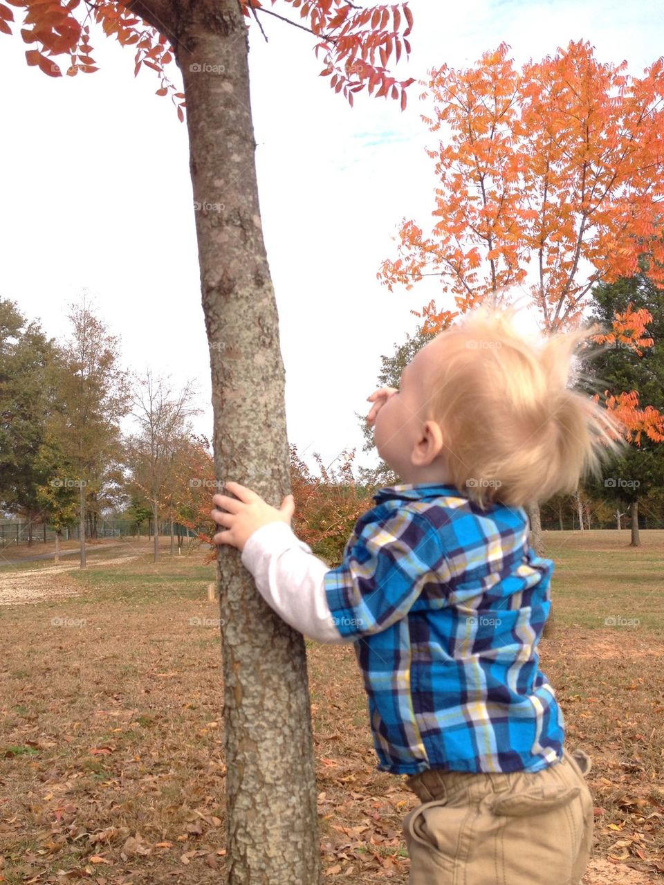 Mommy, I can climb this tree!!!!