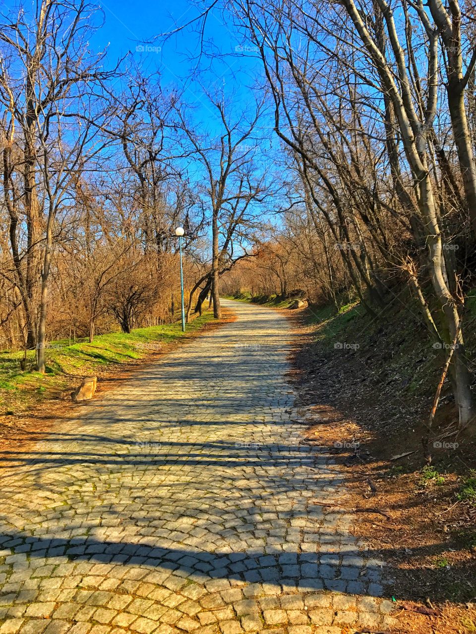 Mountain road 