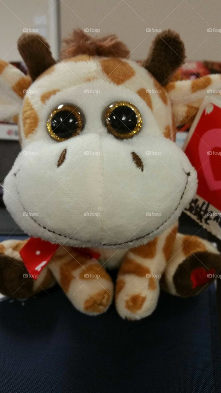 Stuffed giraffe with large eyes