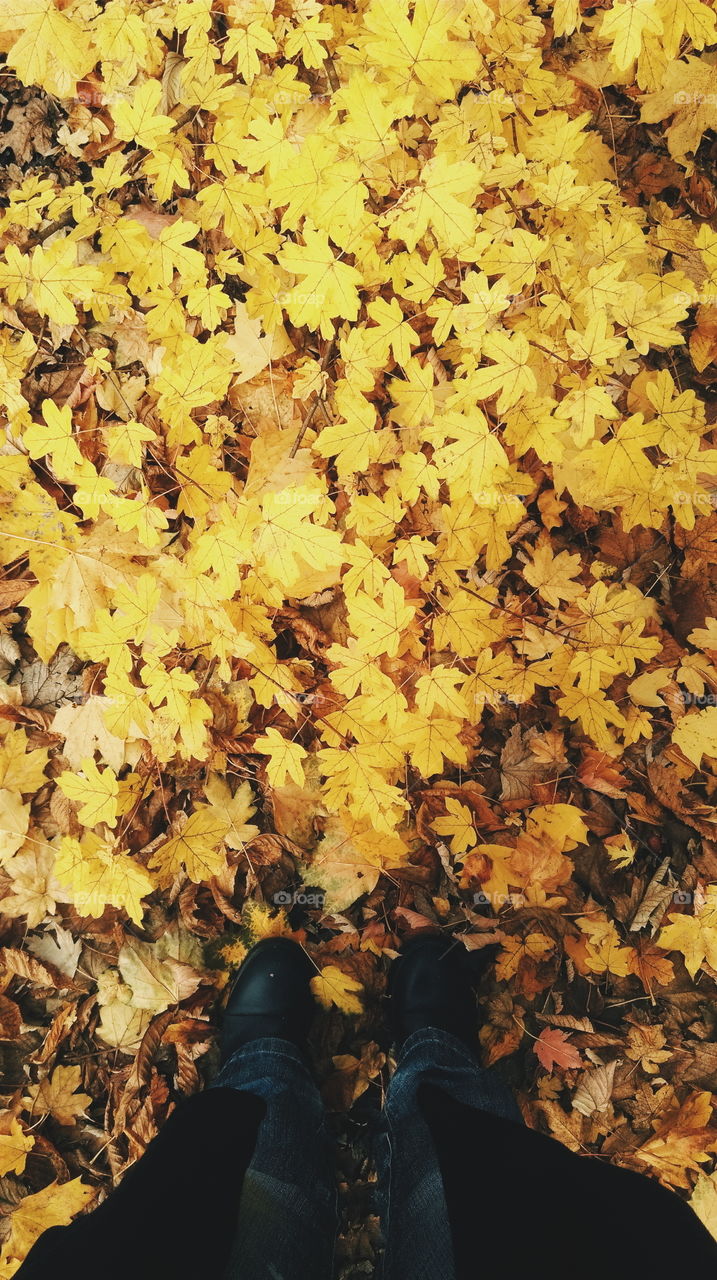 Looking down at the photographers feet in black shoes and jeans, standing on yellow autumn leaves.