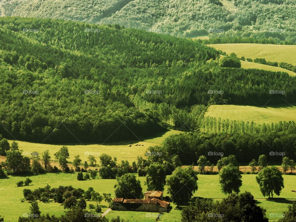 Pyrenees. Ariege