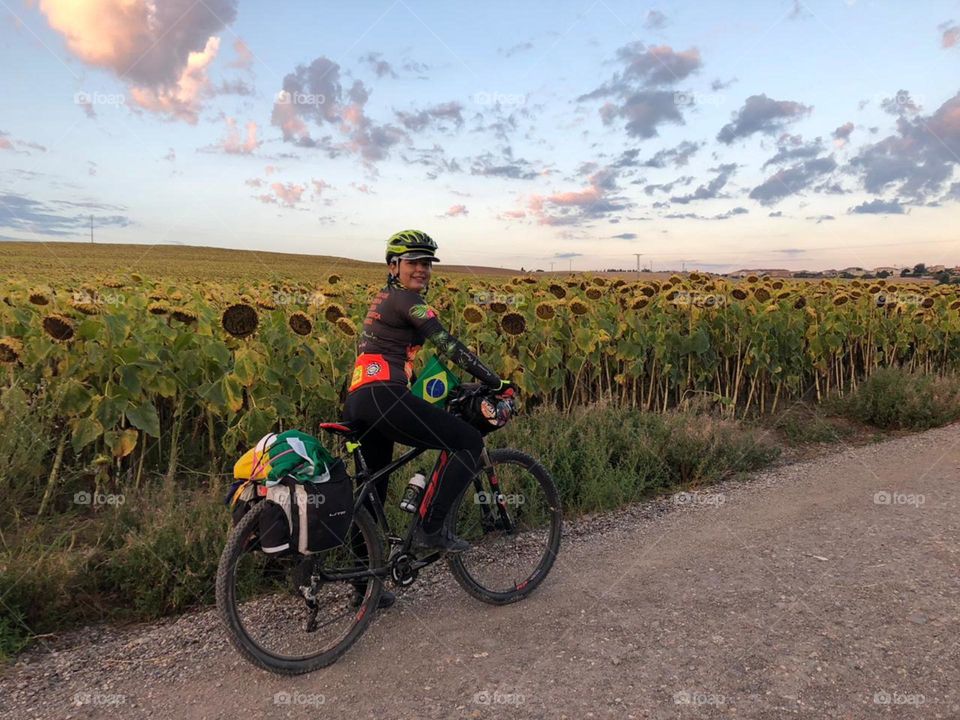 Caminho de Santiago de Compostela.