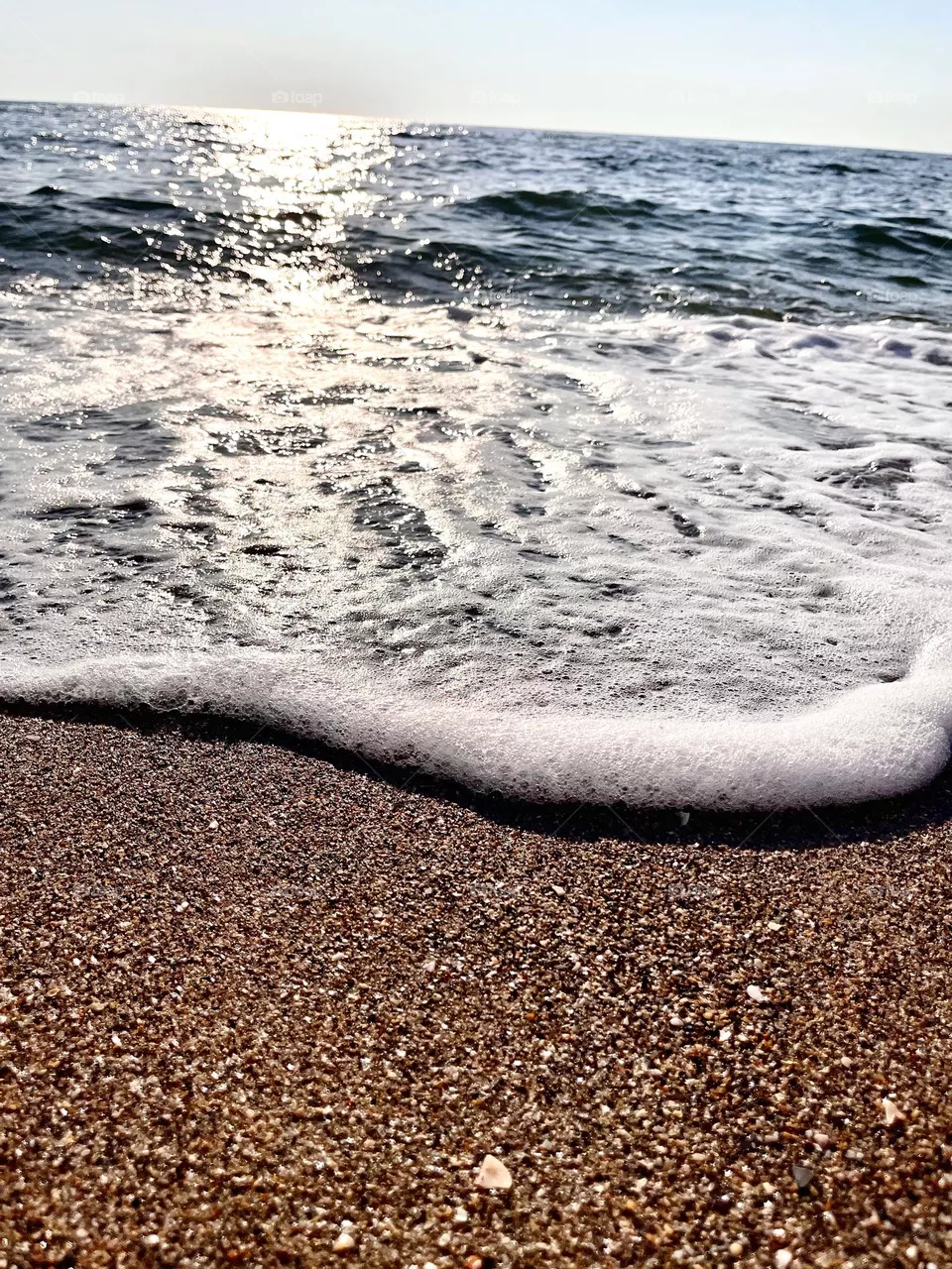 Sea 